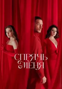 сериал Спрячь меня (1 сезон)